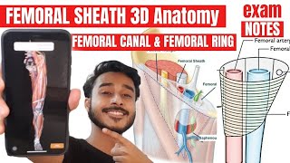 Femoral sheath and femoral canal anatomy  Femoral ring anatomy  femoral sheath anatomy in hindi [upl. by Narcissus]