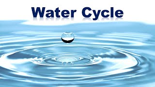 The Water Cycle Evaporation Transpiration Condensation Precipitation and Collection [upl. by Sissie]