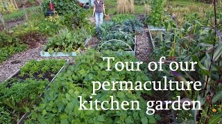 Tour of our permaculture kitchen garden [upl. by Iduj]