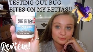 TESTING OUT BUG BITES FOOD ON MY BETTA FISH  REVIEW  ItsAnnaLouise [upl. by Warring]