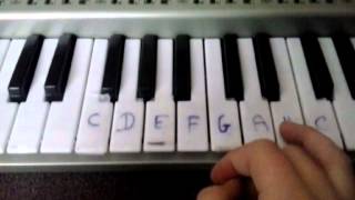 Nauka gry na keyboardzie Odcinek 1 [upl. by Nnylecyoj417]