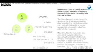 Oogenesis  Embryology amp Biology  Made easy with Animation [upl. by Maleki]