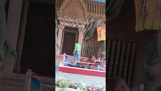 Funny animal Boxing show orangutan [upl. by Critchfield7]