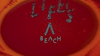 Django Django  Lifes a Beach Official Video [upl. by Eeldarb]