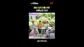 인생 선배님 말씀 아임쏘리😅 예비 입주자 이효정을 위한 인생 선배의 조언ㅋㅋ 은퇴설계자들 EP4 [upl. by Moazami381]