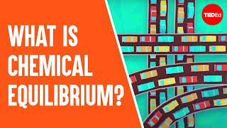 What is chemical equilibrium  George Zaidan and Charles Morton [upl. by Stillas635]