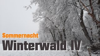 SOMMERNACHT quotWINTERWALD Teil 4quot  OFFICIAL VIDEO [upl. by Ahseirej]