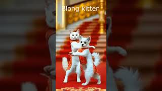 cat and dog dancing 🐱funny dance shorts ytshorts viralshorts [upl. by Cordi]