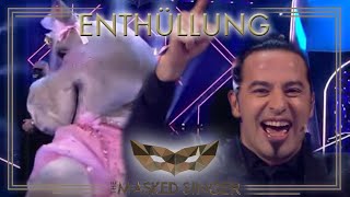 Wer ist das Nilpferd  Die Enthüllung  The Masked Singer  ProSieben [upl. by Nigam]