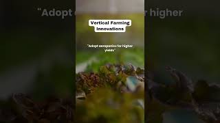 Vertical Farming Innovations [upl. by Cooperstein]