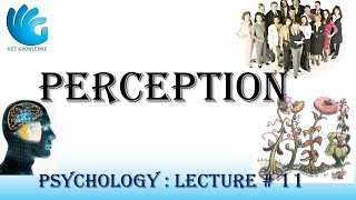 Sensation and Perception  Psychology Lecture  11 [upl. by Senaj199]