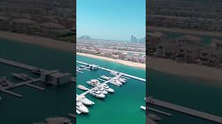 Millionaire shares palm Jumeirah view [upl. by Trebloc]