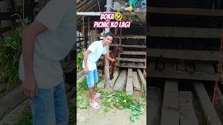 Boka khane ho🤣😋mini vlog shorts minivlog vlog [upl. by Drue]