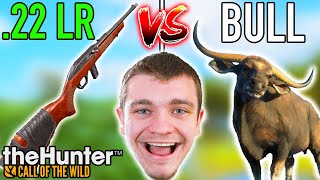 22LR vs Giant Bull [upl. by Acireh449]