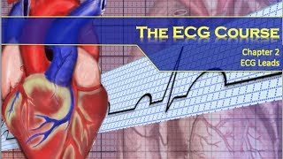 The ECG Course  Leads [upl. by Ion]