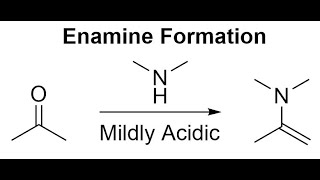 Enamine Formation Mechanism [upl. by Annairdua978]