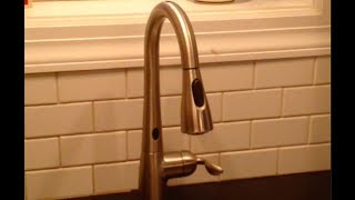 Moen MotionSense Faucet Review [upl. by Enellek826]