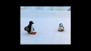 Pingu Cannot Lose Clip  Pingu Official Channel [upl. by Holtorf636]