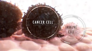 Immunotherapy for Cancer What It Is and Why It’s Used [upl. by Yendyc]