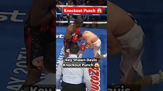 KeyShawn Davis Knockout Punch Revealed 😱 shorts boxing ytshorts [upl. by Carena]