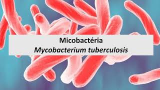 Microbiologia Médica Mycobacterium tuberculosis [upl. by Tail]