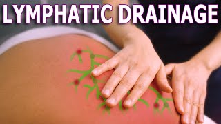 Lymphatic Drainage Benefits  The Importance Of Lymphatic System Health [upl. by Roach]