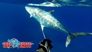 Pole Spear World Record  King Mackerel Kingfish [upl. by Nira]