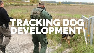 Tracking Dog Development for Law Enforcement [upl. by Tamer]