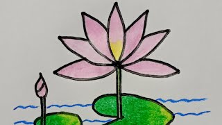 Water lily drawing step by step  Easy Water lily drawing for beginners [upl. by Francine]