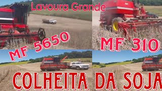 Colheita da Soja MF 5650MF 310Colhendo na Lavoura Grande [upl. by Annoiek18]