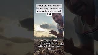 When planting Peonies You only have one chance to sort your soil out [upl. by Oringa]