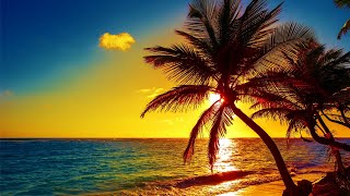 Beautiful Relaxing Peaceful Music Calm Music 247 quotTropical Shoresquot By Tim Janis [upl. by Cirdes]