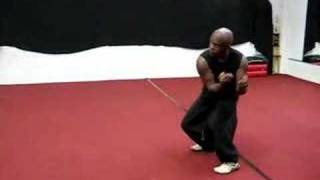 HsingIXingyi Quan Combat kung fu [upl. by Pavyer]