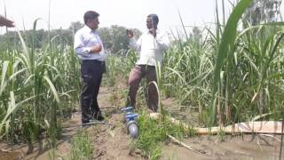 Drip irrigation system in Sugarcane at Basaigapur Lakhimpur [upl. by Notsud]