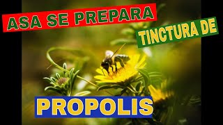 Cum se prepara tinctura de propolis [upl. by Nahgiem]