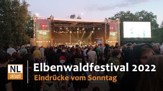 Elbenwald Festival 2022  Sonntag [upl. by Cindra136]