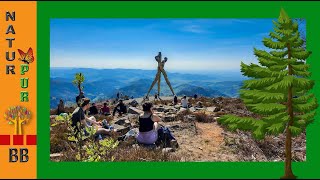 Wandern im Schwarzwald zum Mooskopf [upl. by Annahsad]