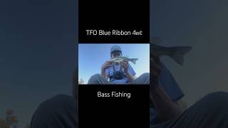 4wt fly fishing is where it’s at tforods blueribbon bassflyfishing gamechanger 4wt texas [upl. by Lawler]