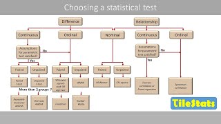 How to choose an appropriate statistical test [upl. by Gustafsson]