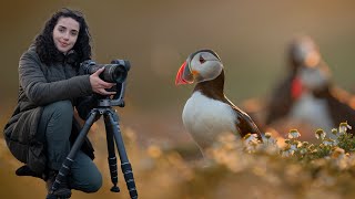 Puffins Wildlife Photography on Skomer Island Vlog [upl. by Leterg]