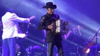 Golpes en el Corazon  Los tigres del Norte [upl. by Alaehs]