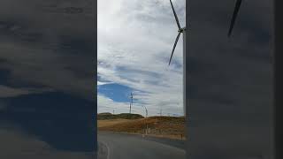 Wind Farm in newzealand [upl. by Neersin690]