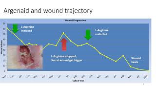 Arginaid amp Wound Trajectory [upl. by Citarella]