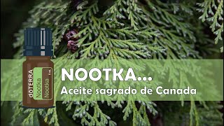 Nootka aceite esencial de doTERRA [upl. by Meece]