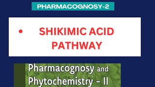 Shikimic acid pathway  significance of shikimic acid pathway  Pharmacognosy2 unit1 [upl. by Urial189]