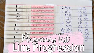 PREGNANCY TEST LINE PROGRESSION 2020  12DPO21DPO [upl. by Eilasor381]