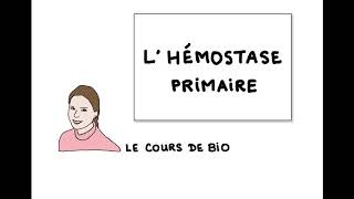 Hémostase primaire [upl. by Mat212]