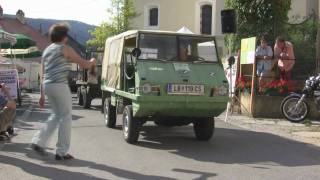 50 Jahre Haflinger Parade Schönberg Teil 2 [upl. by Annay]