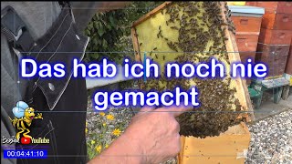 Ich habe da mal was ausprobiert Imkerei Bienen und Natur 2024 [upl. by Zenia]