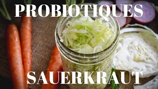 Probiotiques Sauerkraut  Legumes LactoFermentés ENGLISH SUBS [upl. by Otis]